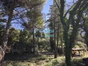 Combaillaux 34980 Achat / Vente terrain