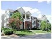 Come home where you have luxurious apartment prices. Pet OK!