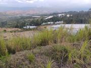 comercial casa para comercio en arriendo en el limonar....