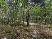 Comercial en venta en Madrid