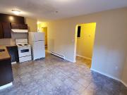 Comfortable And Convenient 1 Bedroom Basement Suite