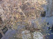 Comfortable studio in Barcelona close to Catedral de...