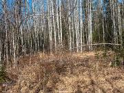 coming Soon To Mls 140+ Acres Vacant Land Walker Rd S