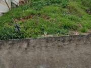 Comiteco Lote / Terreno à venda na Anuar Donato