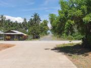 Commercial Area