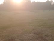 Commercial Industrial Plot 80000 Sq. Ft. in Manjusar...