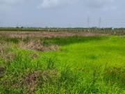 Commercial Land 1089 Sq.Ft. In Turbhe Navi Mumbai...