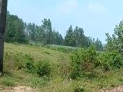 Commercial Land 2177 Sq.Yd. In Ayikkarapadi Malappuram