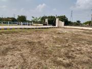 Commercial Land 450 Sq.Yd. In Renigunta Tirupati Listing...
