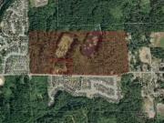 Commercial Land for sale in Port Alberni, 3333 Burde St,...