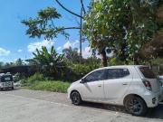 COMMERCIAL LOT ALONG THE HIGHWAY IN CALINAN DAVAO CITY