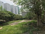 Commercial lot for lease near SM North, North Avenue,...