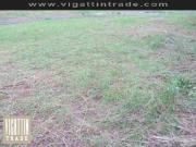 Commercial Lot For Sale Alabang Zapote Rd Gas Station...