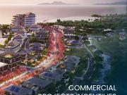 Commercial Lot For Sale at Paragua Coastown San Vicente...