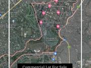 Commercial Lot For Sale in BGC Taguig City