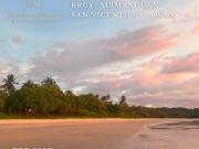 COMMERCIAL LOT FOR SALE IN BRGY. ALIMANGUAN SAN VICENTE...