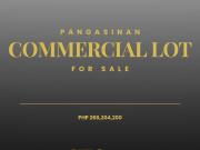 Commercial Lot for Sale in Brgy. Ilog Malino, Pangasinan...