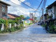Commercial lot For Sale in Labangon Cebu City near...