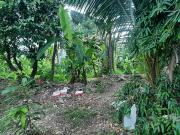 Commercial Lot for Sale in Sikatuna St. Barangay...