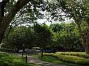 Commercial Lot for Sale in Silang, Cavite