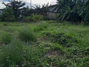 Commercial Lot For Sale Las Pinas 240sqm