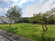 Commercial Lot For Sale Muntinlupa City