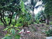 Commercial Lot for Sale Sikatuna St. Barangay Zapatera, Cebu