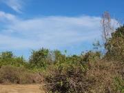 Commercial lot only for sale in Mactan, Lapu Lapu City,...