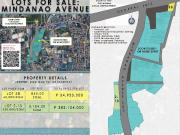 Commercial Lots for Sale E.Rodriguez Avenue LOT B