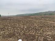 Commercial Plot Commercial Land 6530 Sq. Ft. in Khopoli...