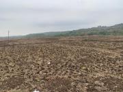 Commercial Plot Commercial Land 8711 Sq. Ft. in...