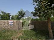 Commercial Plot For Sale Zamar Valley Islamabad