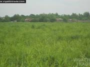 Commercial Properties Ayala Area Talisay City Neg. Occ....