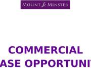 Commercial Property