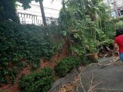 Commercial Property FOR LEASE in Scout Borromeo, QC