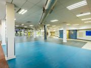 Commercial Property in Craighall Park To Rent