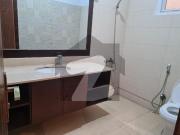 Commercial Rental Opportunity 800 Square Yards Bungalow...