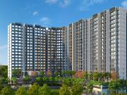 Commercial Shop 1250 Sq.Ft. In Old Panvel Navi Mumbai...