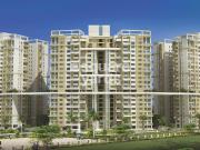 Commercial Shop 600 Sq.Ft. In Bibwewadi Pune Listing ID...