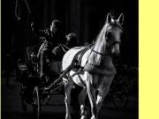 COMMERCIALE PIAZZA SIGNORIA PIAZZA DEL DUOMO PIAZZA...