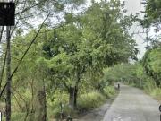 Commercial/Industrial/Residential/Farm Lot For Sale in...