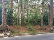 Commercial/Residential Lot for Sale!