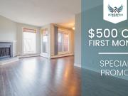 Common Wealth Place 1 Bedroom Owl [object Promise] for Rent