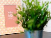 Comoda camera singola