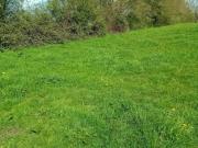 Compainville Vente Terrain 76