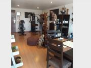 Comparto depa, muy tranquilo y espacioso