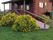 Complejo de cabañas en venta monoambiente 10000mts2...