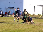 Complejo Deportivo en alquiler 6 Canchas Villa Elvira