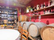 Complesso immobiliare in stile rustico Toscano di ampia...