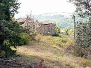 Complesso rustico da ristrutturare